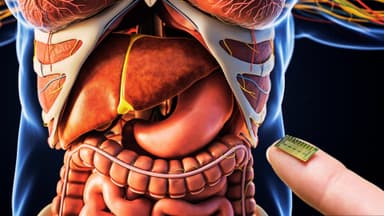 ImagenUNAM Desarrolla el primer "Hígado en un Chip" de Latinoamérica 