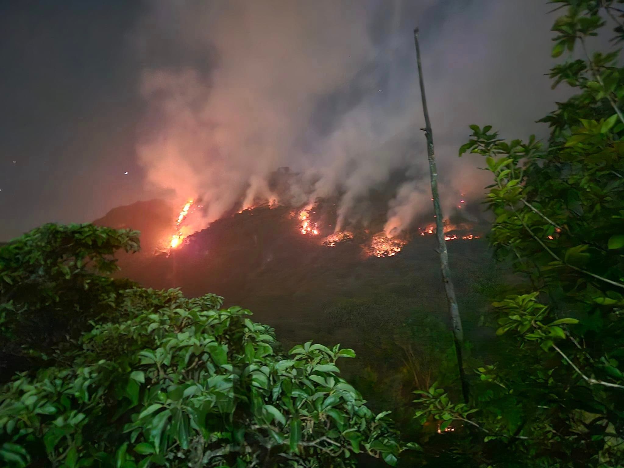 Preocupan incendios forestales en Veracruz 
