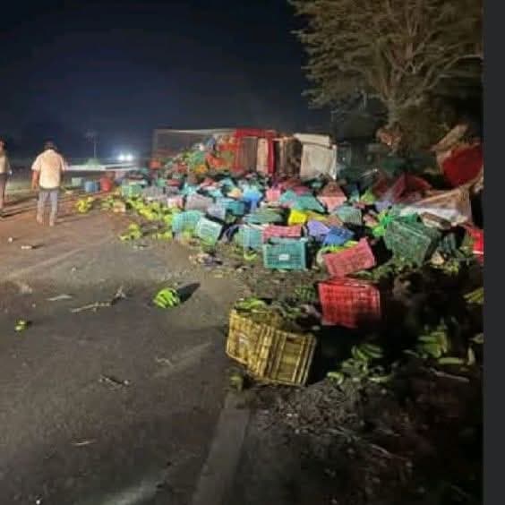 Rapiñan plátano de camión accidentado 