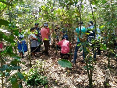 ImagenCapacitan a cafetaleros en Chiapas