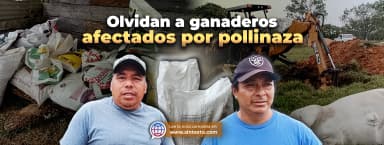 ImagenOlvidan a ganaderos afectados por pollinaza