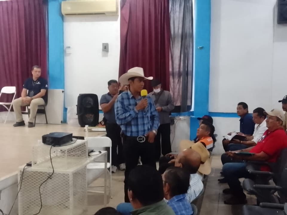 Afirman a la baja casos de gusano barrenador en Chiapas 
