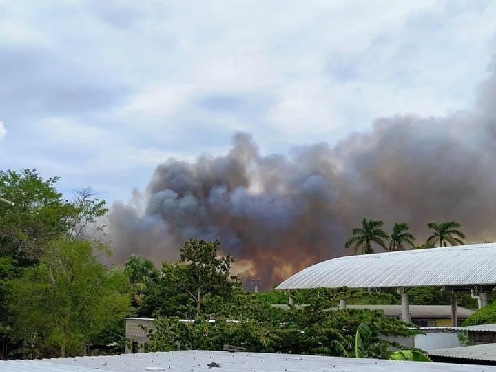 Mano dura contra quienes provoquen incendios: PVEM