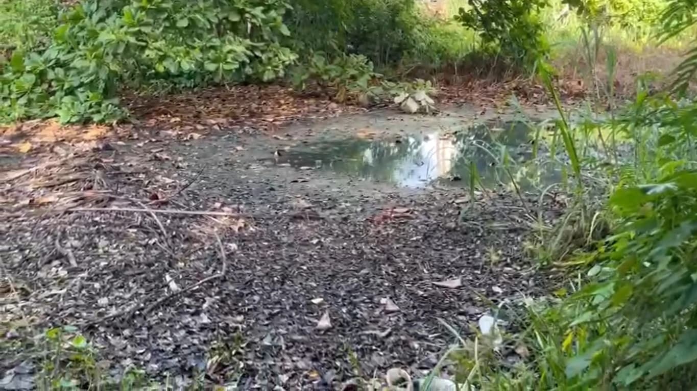 Investigan a empresa PTAC por contaminación del agua