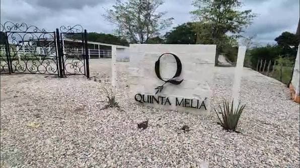 Feminicida de Quinta Meliá asesinó a dos mujeres, una escapó