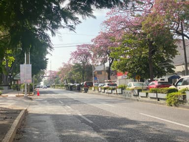 Imagen¡Villahermosa se pinta de rosa! 