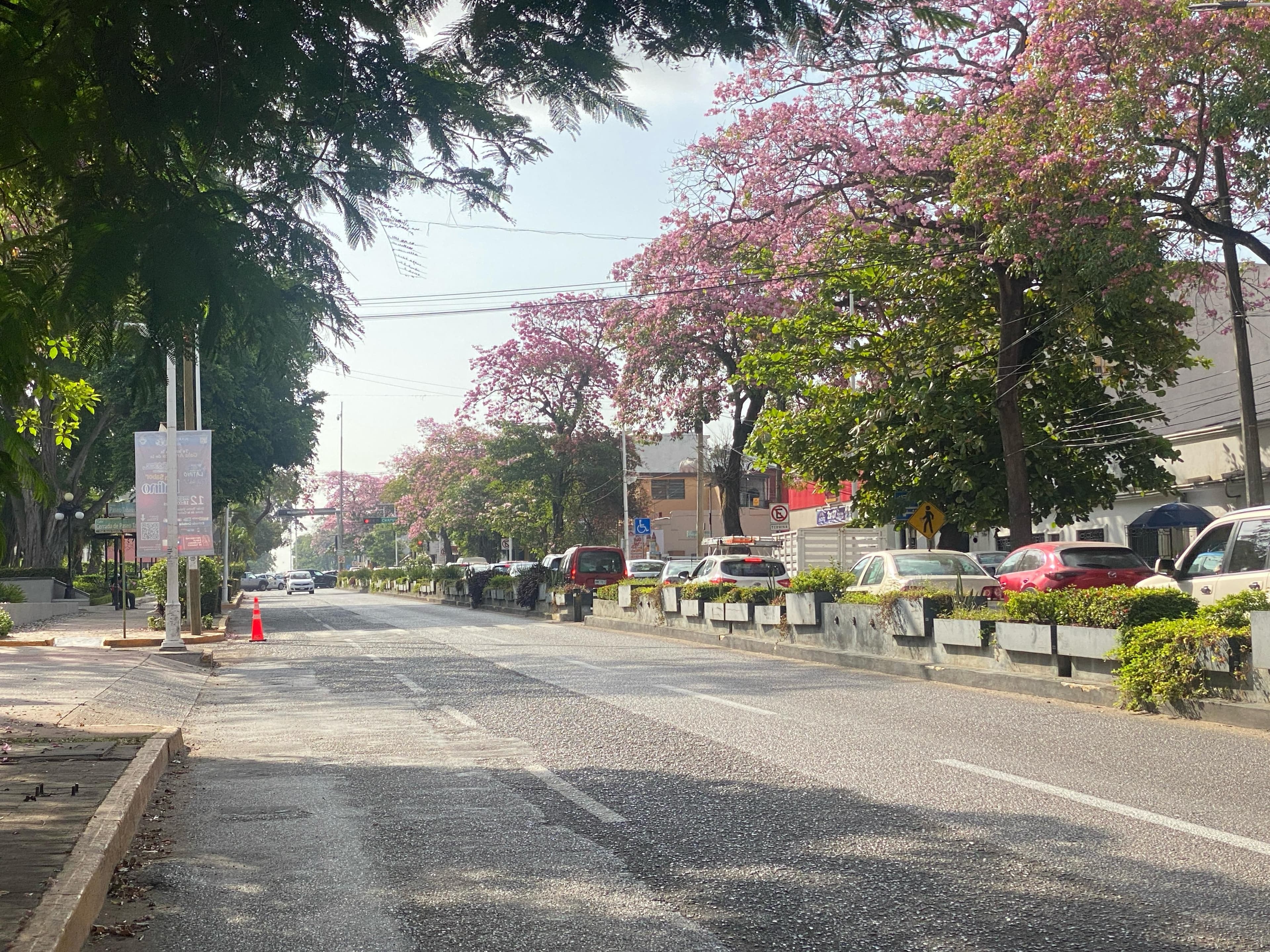 ¡Villahermosa se pinta de rosa! 