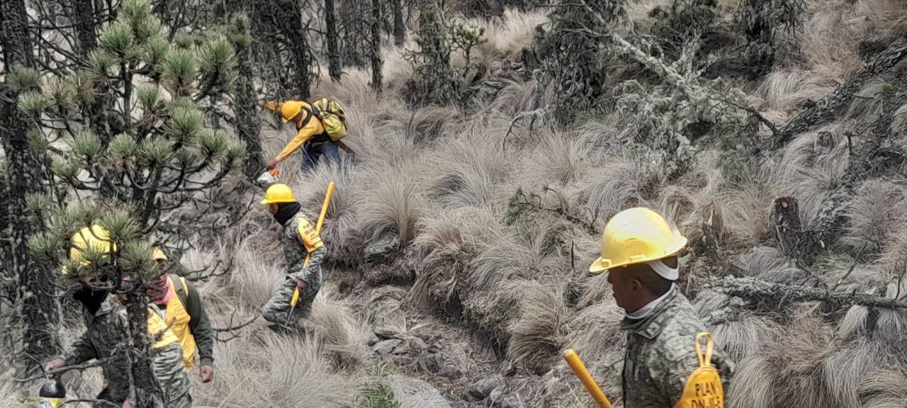 Se reactiva incendio en el Cofre de Perote
