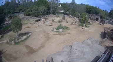 ImagenChiapas ocupa el tercer lugar en actividad sísmica