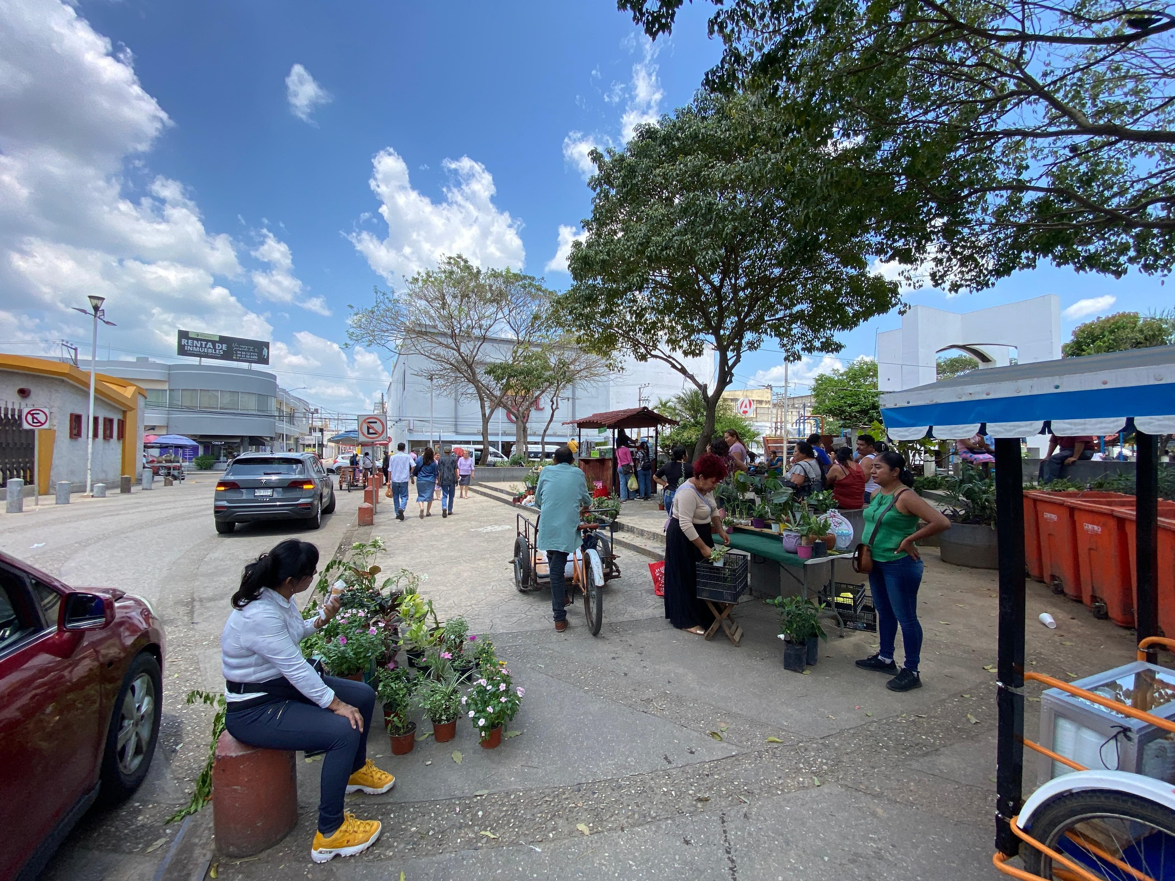 Amplían calendario de tianguis de plantas en parque La Paz