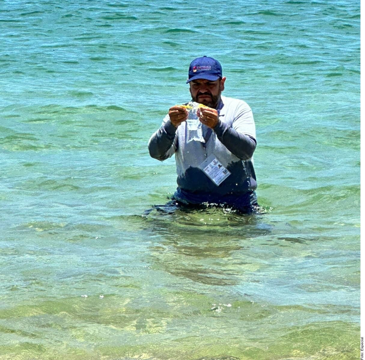 Las 18 playas mexicanas no aptas para vacacionar 