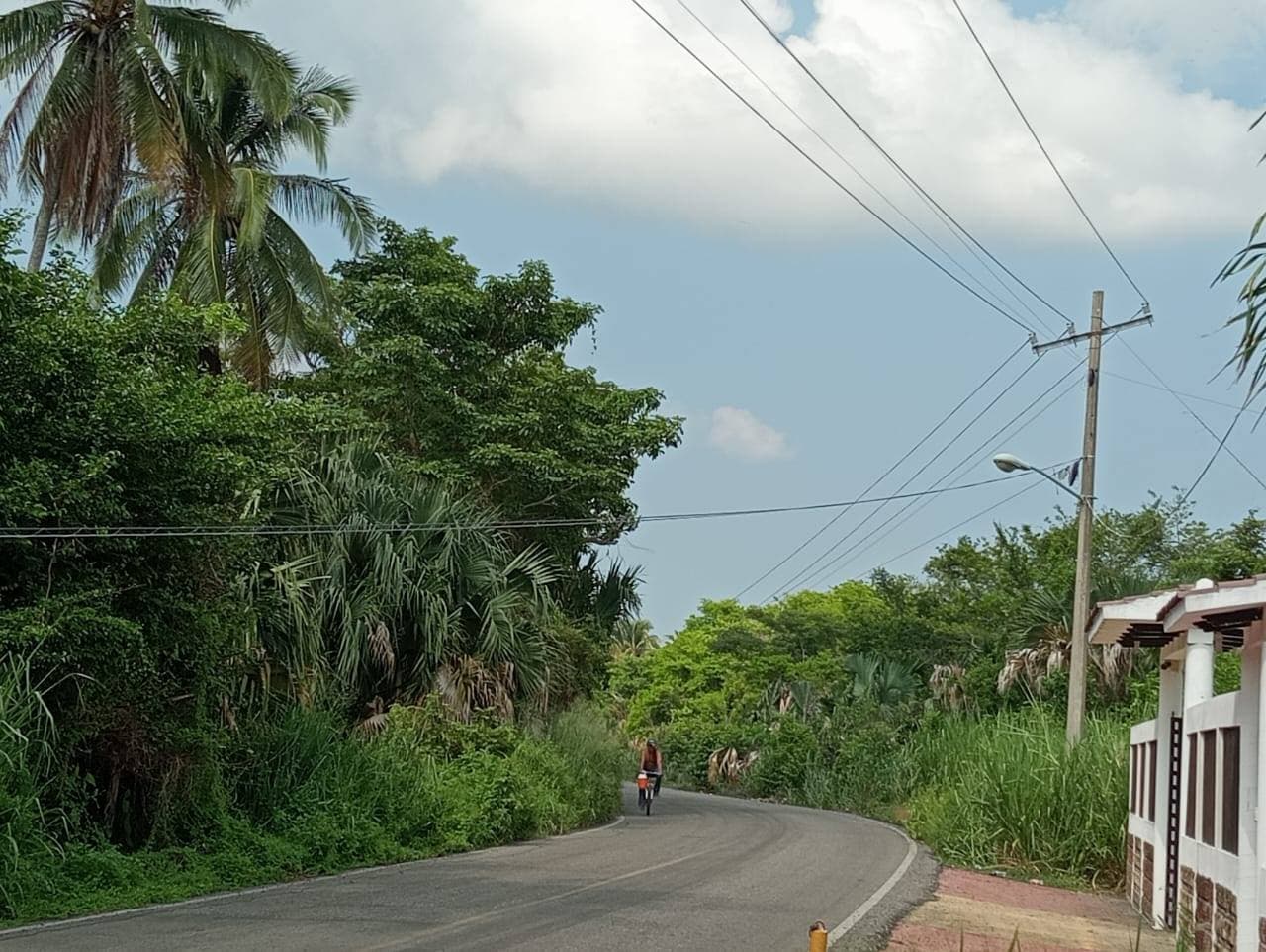 Tráiler destruye cables de luz y deja a comunidad sin servicio
