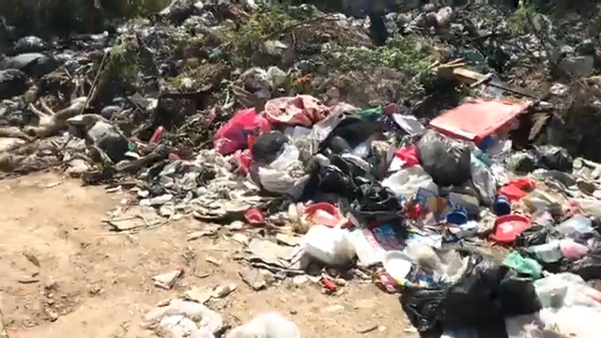 Exigen sanciones a basureros clandestinos en Chetumal 