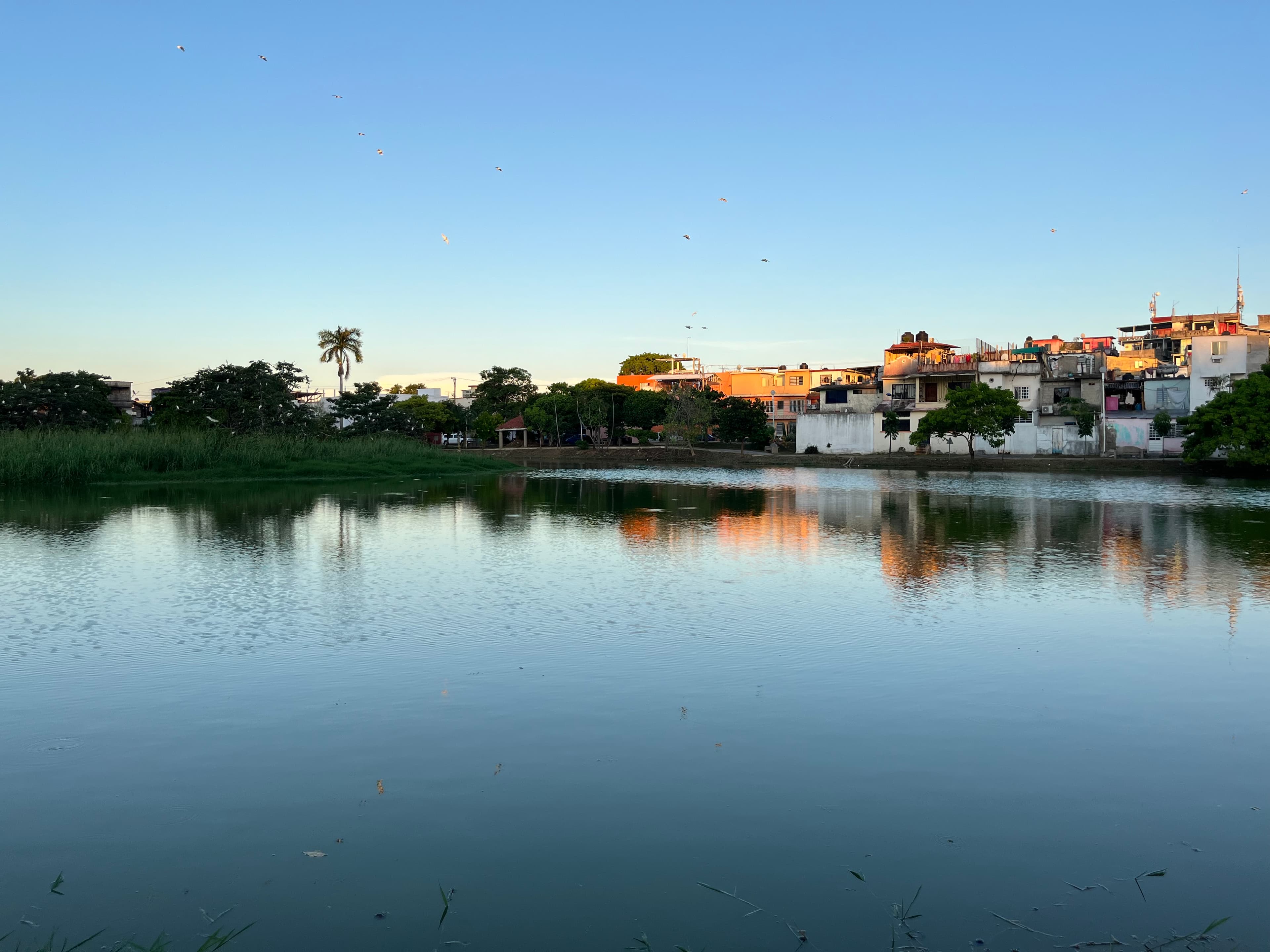Rescatan laguna “El Jícaro” en Nueva Villahermosa 