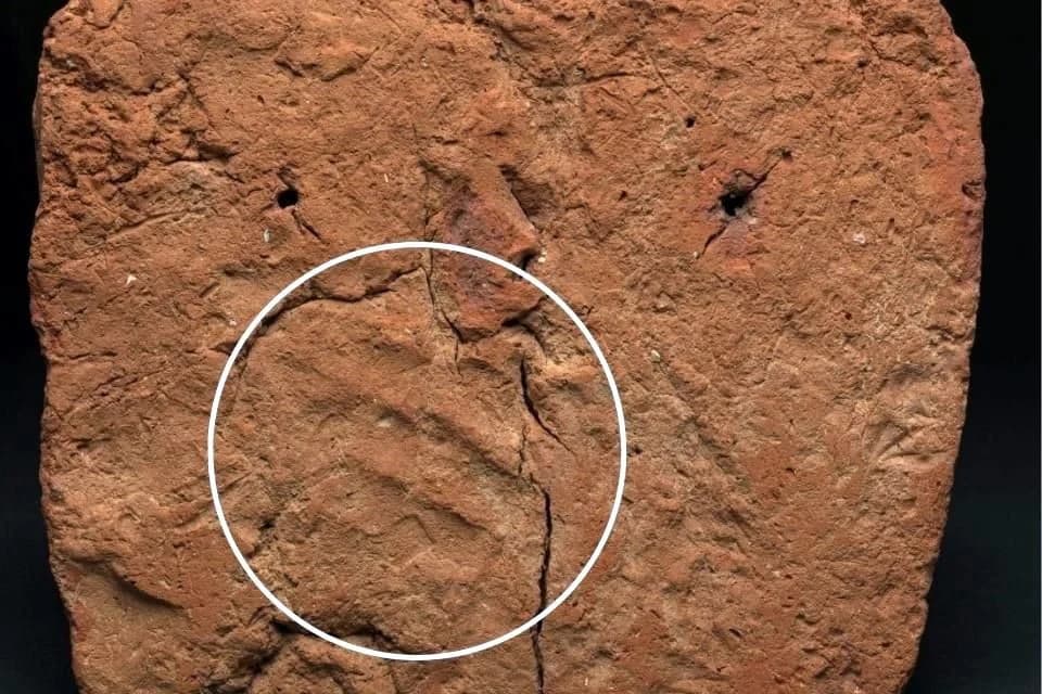 Escultura egipcia “escondía” huella de 4 mil años