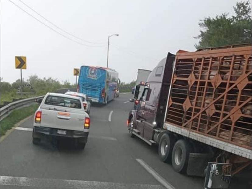 Asaltan tráileres en carretera veracruzana 