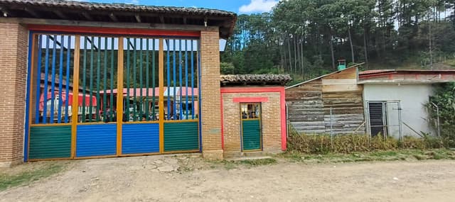 Crítica EZLN postura acomodaticia de Noroña ante buscadores
