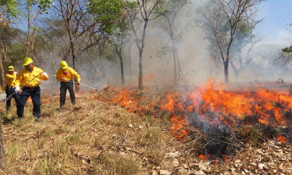Incrementan incendios en Tabasco