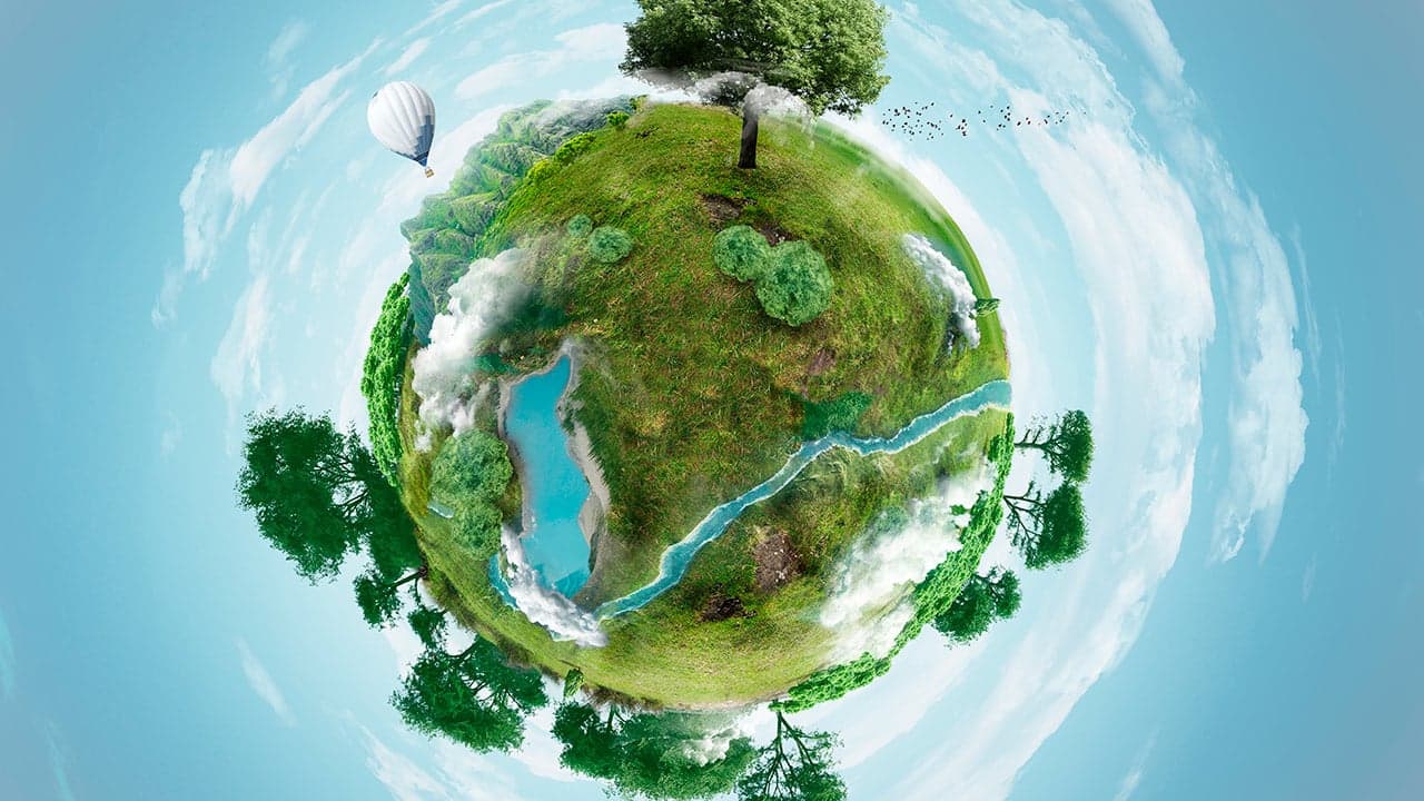 Protegen la salud con miel de Tabasco 