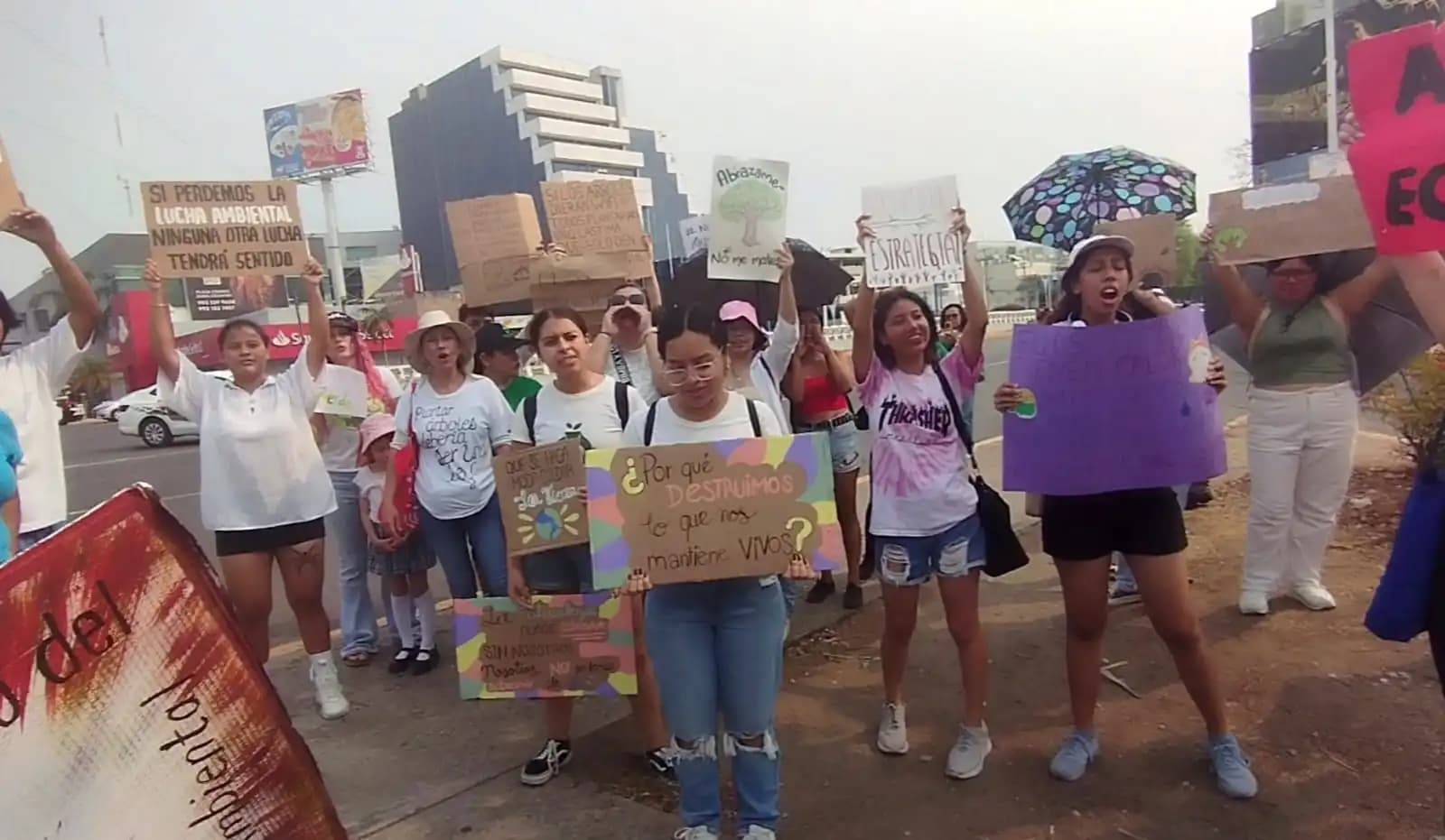 Marchan contra la deforestación