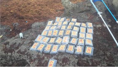 ImagenAseguran 47 paquetes con cocaína en costas de Playa del Carmen