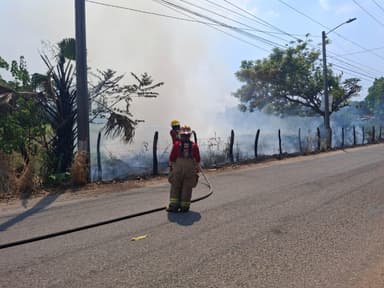 ImagenReportan 30 incendios diarios por calor extremo