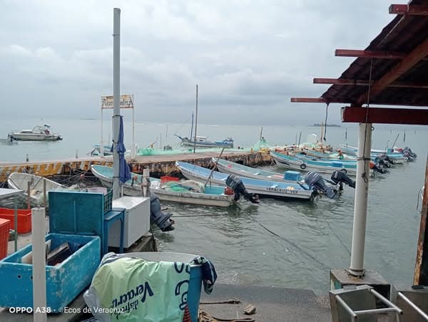 Lluvias afectan a pescadores en Veracruz 