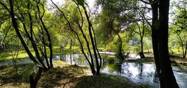 ImagenAlertan cambios en ecosistemas por Ciclones y Huracanes  