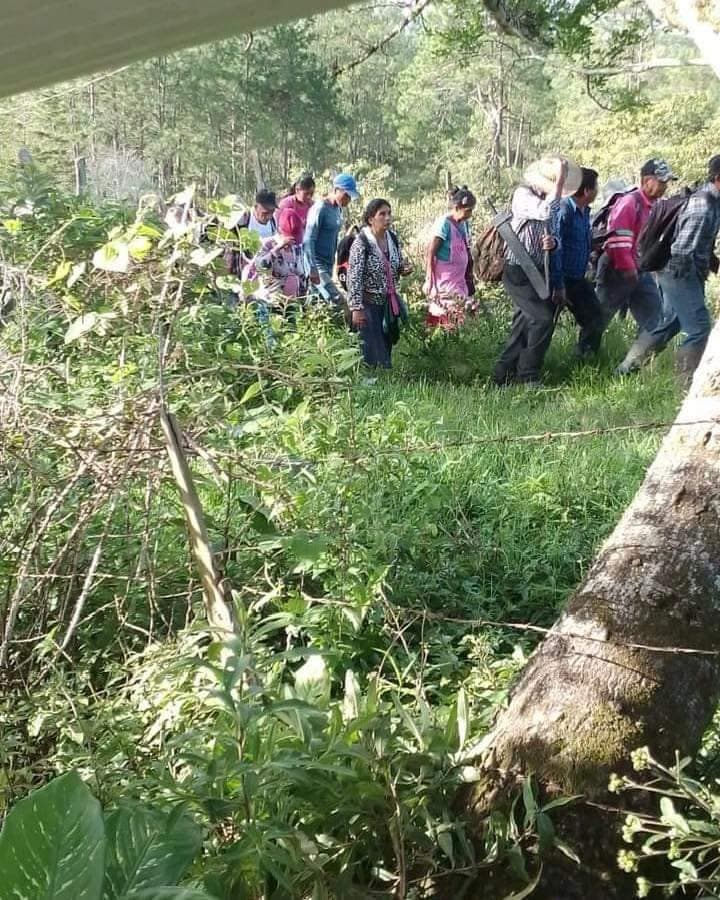 Desplazados de Chenalhó piden ayuda a AMLO