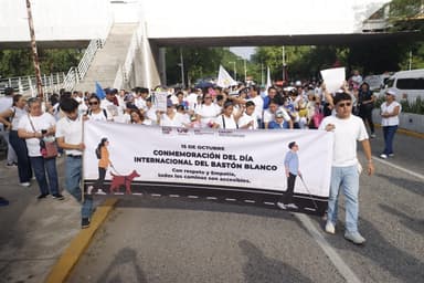 ImagenMarcha por la inclusión desde la Discapacidad Visual 