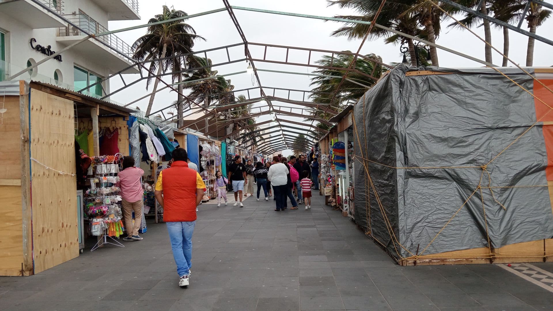 Frente Frío 24 alcanzó rachas de 82 km/hr en Veracruz