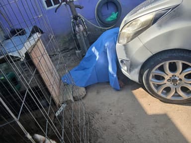 ImagenEjecutan a "El Gallero" en Paraíso 