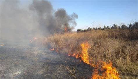 Advierten multas para dueños de lotes que acumulen basura   
