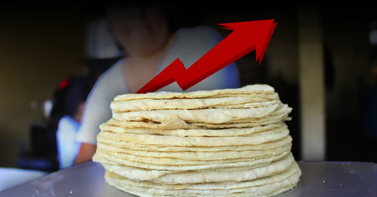 Sube precio de la tortilla en Tabasco, aumentos en cascada