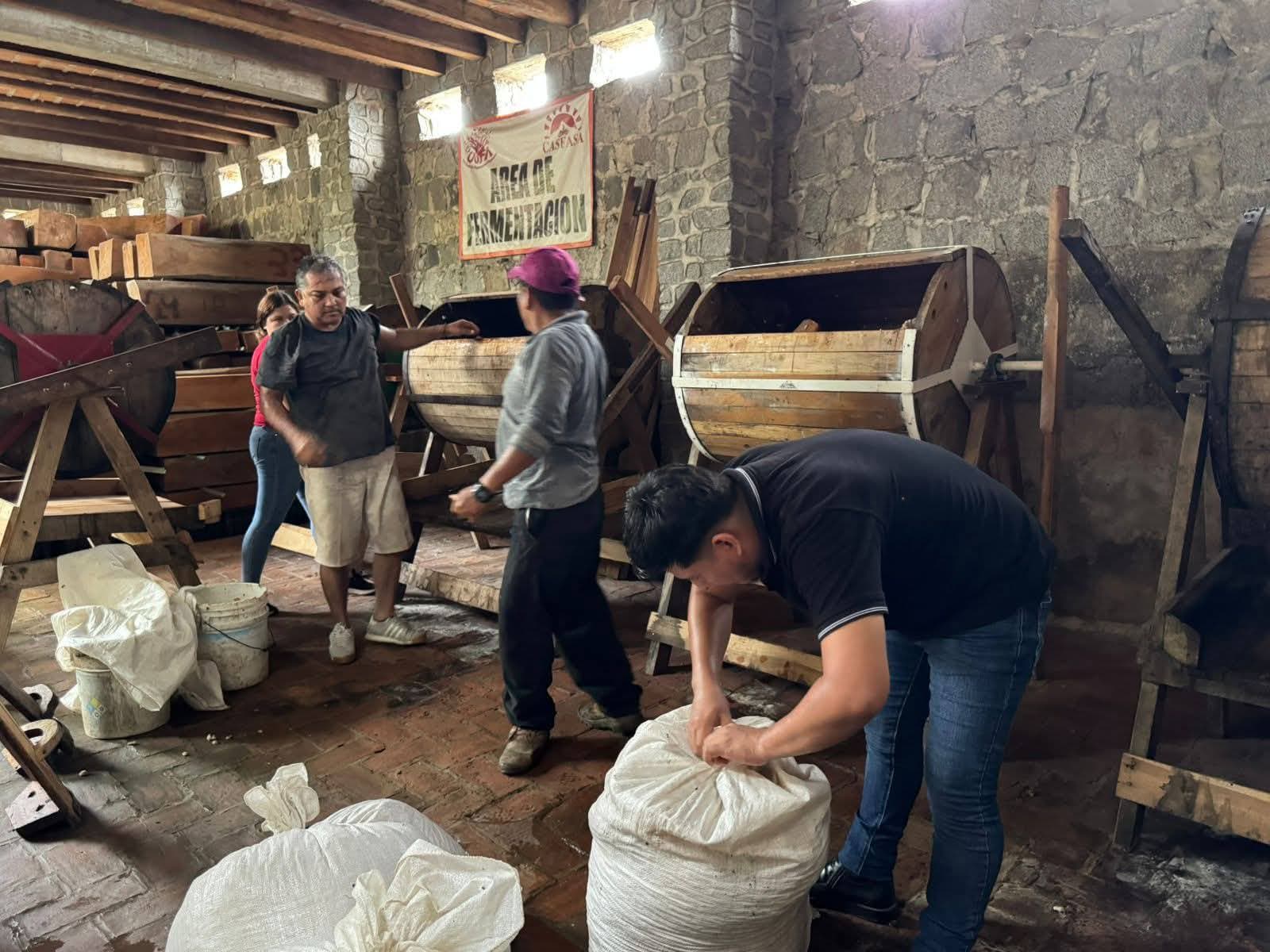 Exportan cacaos finos de aroma del Soconusco