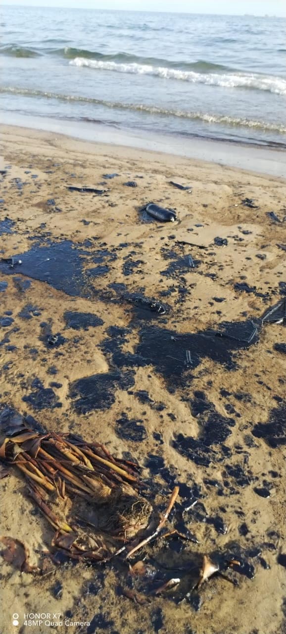 Amanecen playas de Paraíso llenas de chapapote 