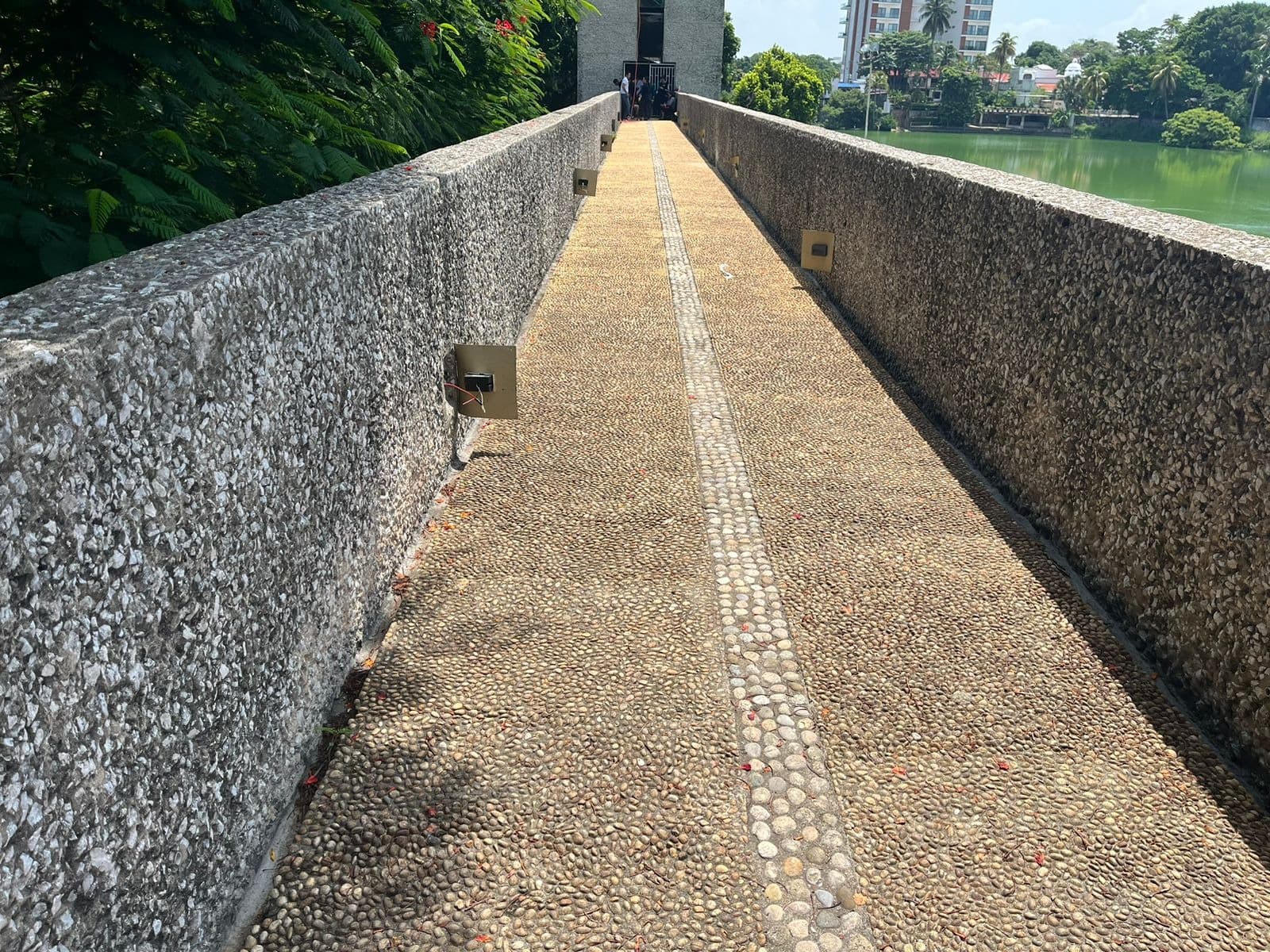 Roban nuevo alumbrado del Tomás Garrido