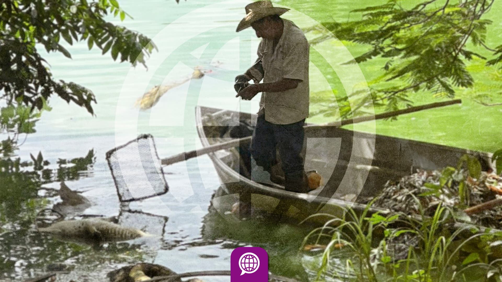 Ahora mueren hasta cocodrilos en Las Ilusiones, culpan a las lluvias 