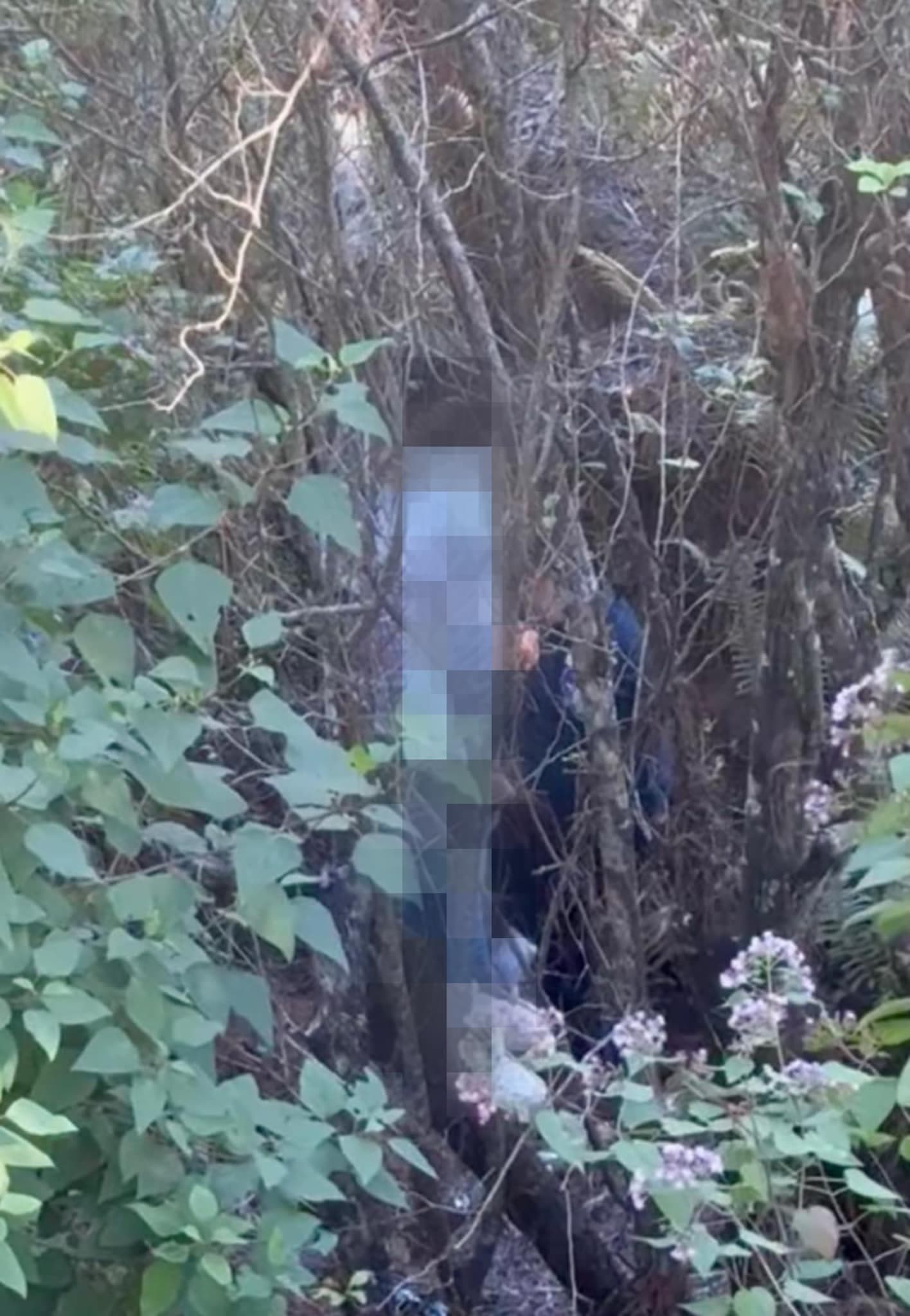 Se cuelga presunto feminicida en San Cristóbal