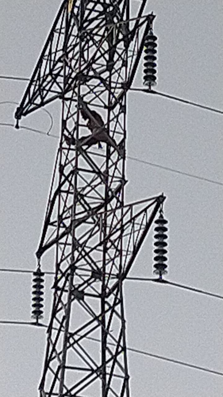 Ladrón se trepa a torre de alta tensión en Pomuch