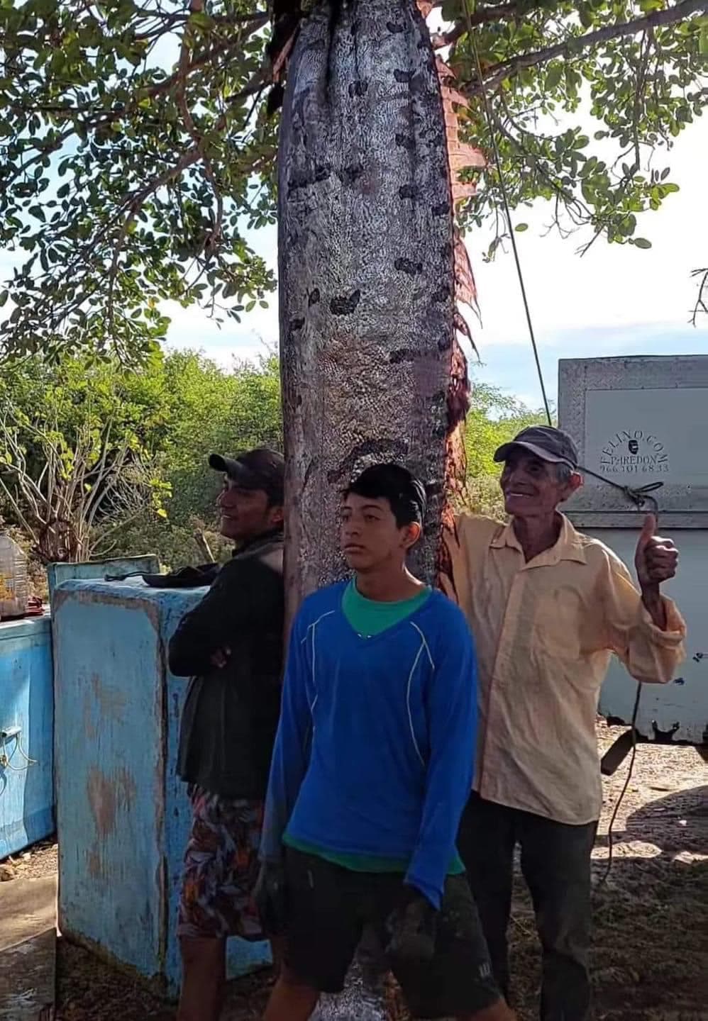 Capturan Pez en Chiapas que anticipa desastres