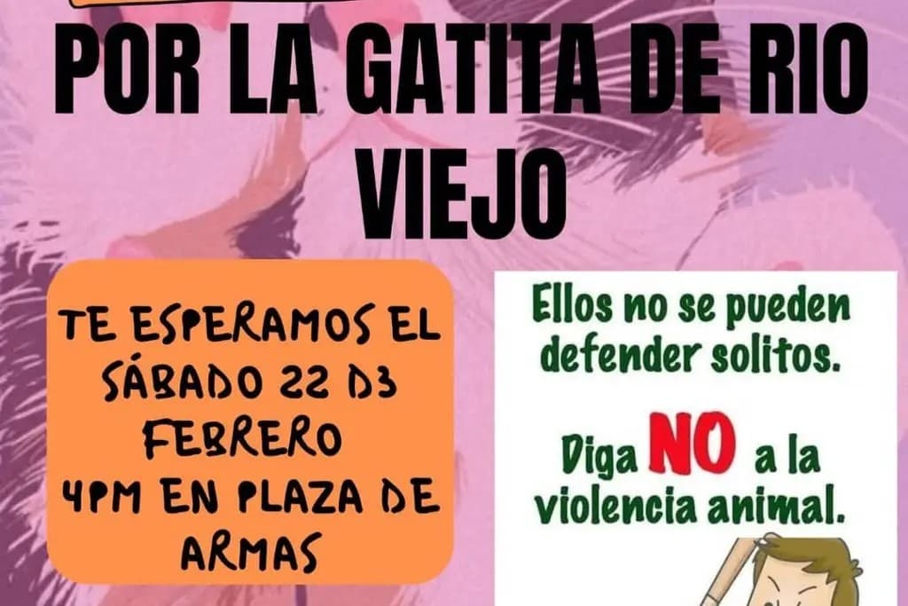 Harán marcha de protesta por caso de crueldad animal 