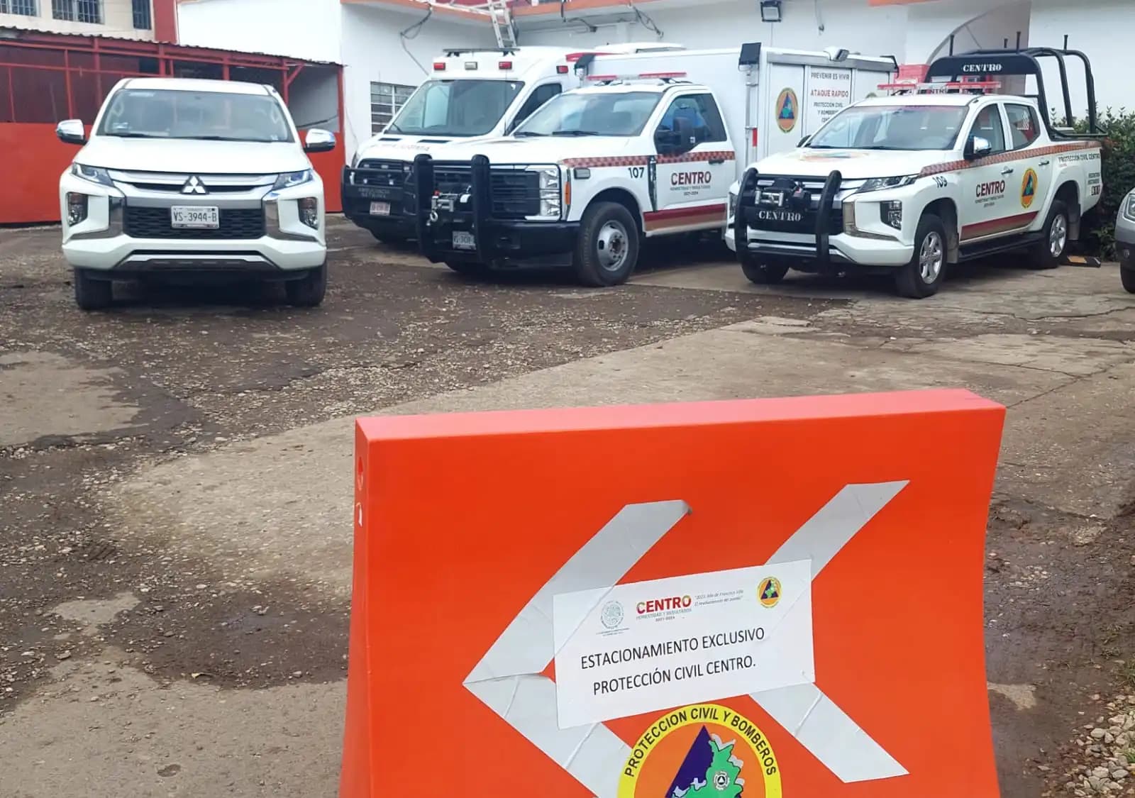 Capturan 300 especies silvestre en zonas urbanas