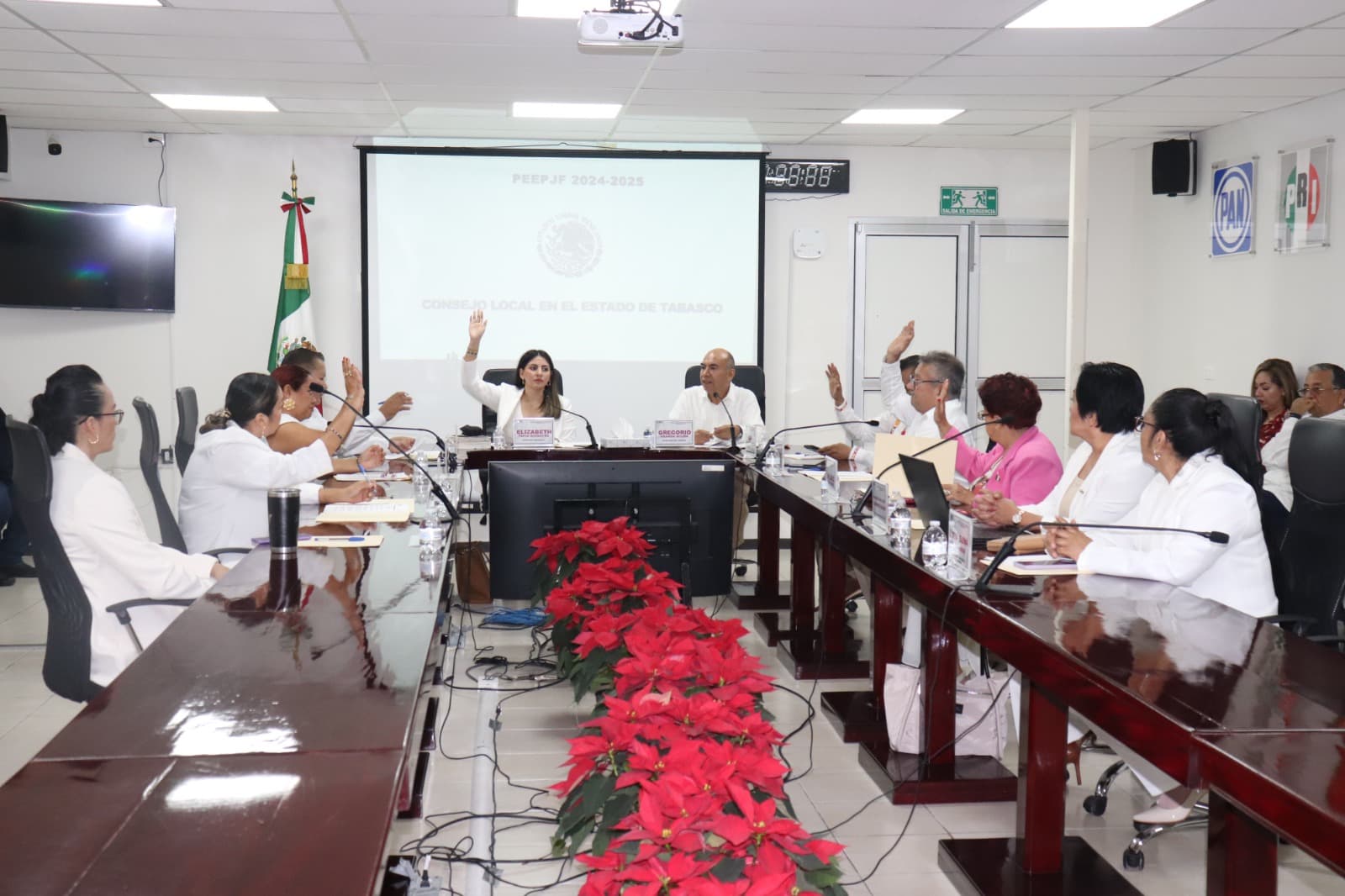 Visualiza INE elección judicial 'polarizante'