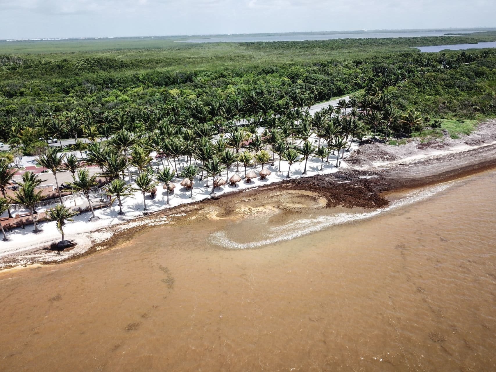 Atenderán temporada de sargazo 2024