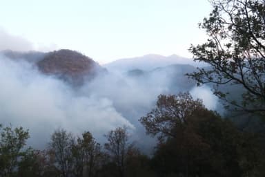 ImagenCrece emergencia ambiental en Chiapas por incendios