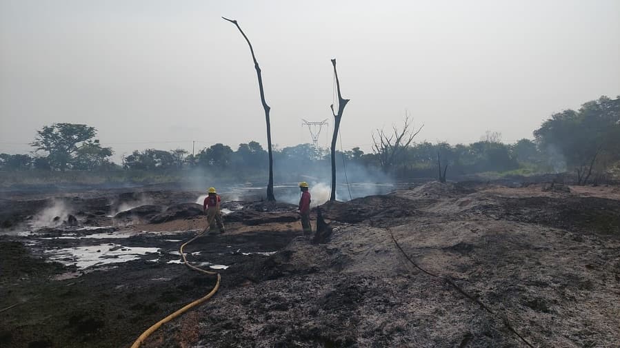 Se investigarán a empresas para deslindar responsabilidades: Gobierno