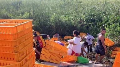 Imagen'Rapiñas no son denunciadas por empresas afectadas'