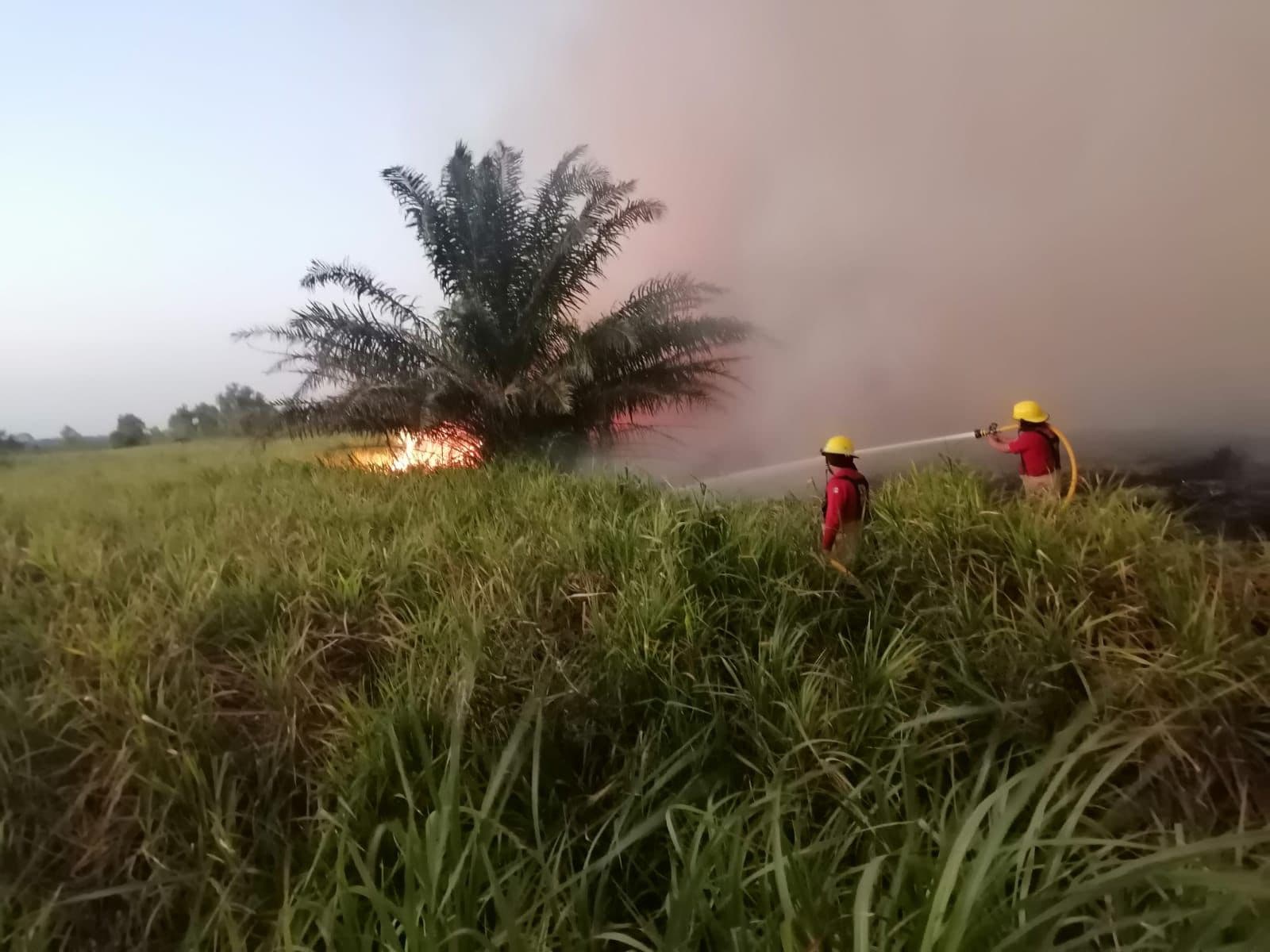 Clama Protección Civil no realizar quemas, van más de 300 incendios 