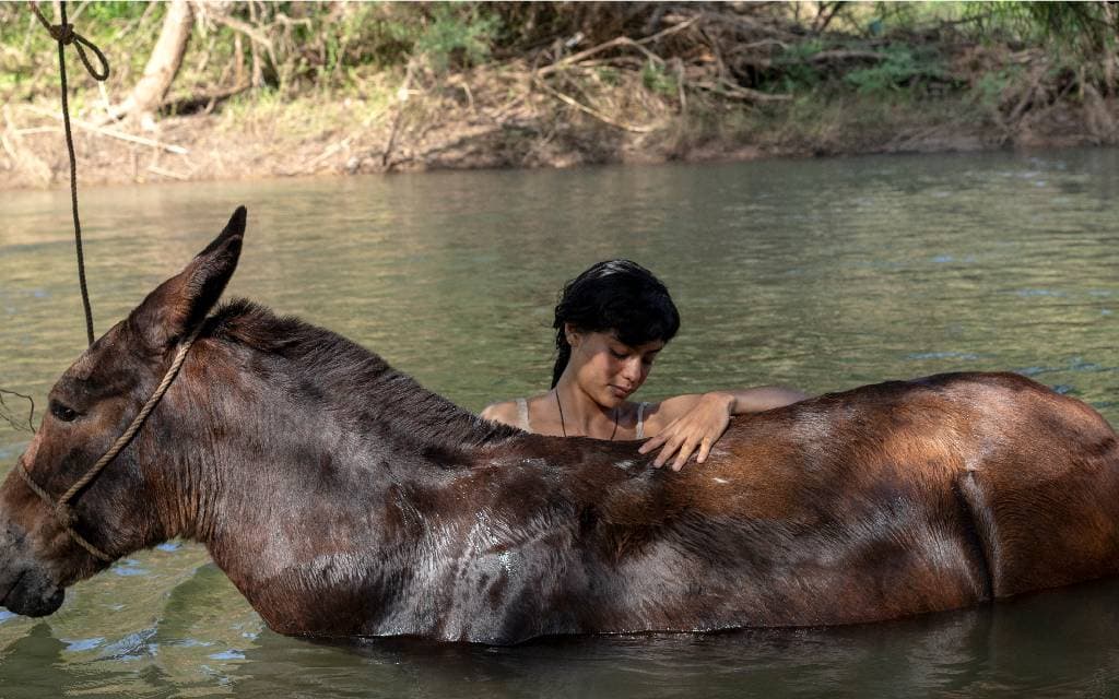 “La Arriera”, película que trastoca tradición del cine rural
